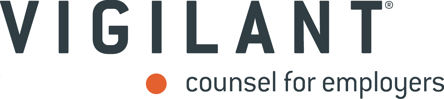 Vigilant Services Inc (VSI)